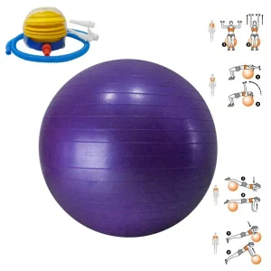 Balón Gimnasia 65CM