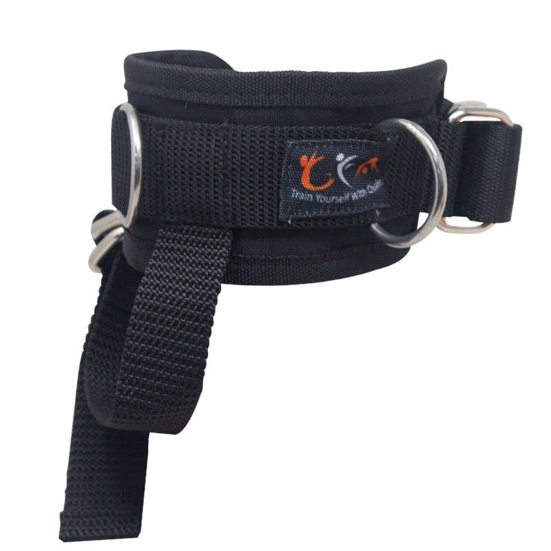 Arnes Tobillo GFA - Imagen 4