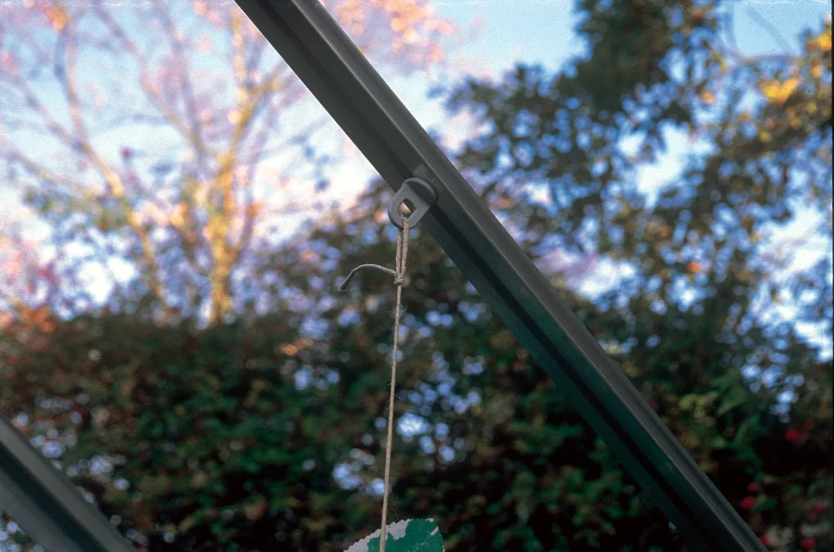 Juliana Pflanzenaufhänger 20 Stck.