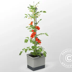 Pflanzgefäß, TOM TOMATO, mit Rankhilfe und Wassertank, Hellgrau