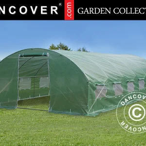 Foliengewächshaus 4x8x2m, 32m², Grün